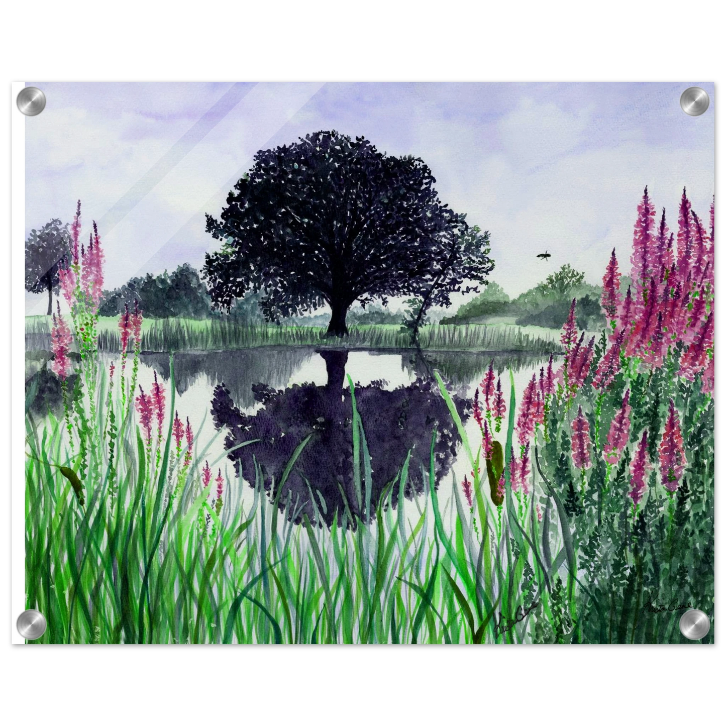 4cbea004-be0c-42f2-8e45-ba403dd8c6cc