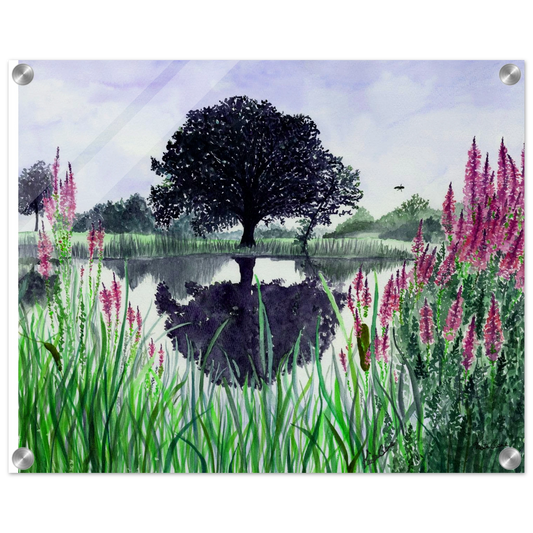 4cbea004-be0c-42f2-8e45-ba403dd8c6cc