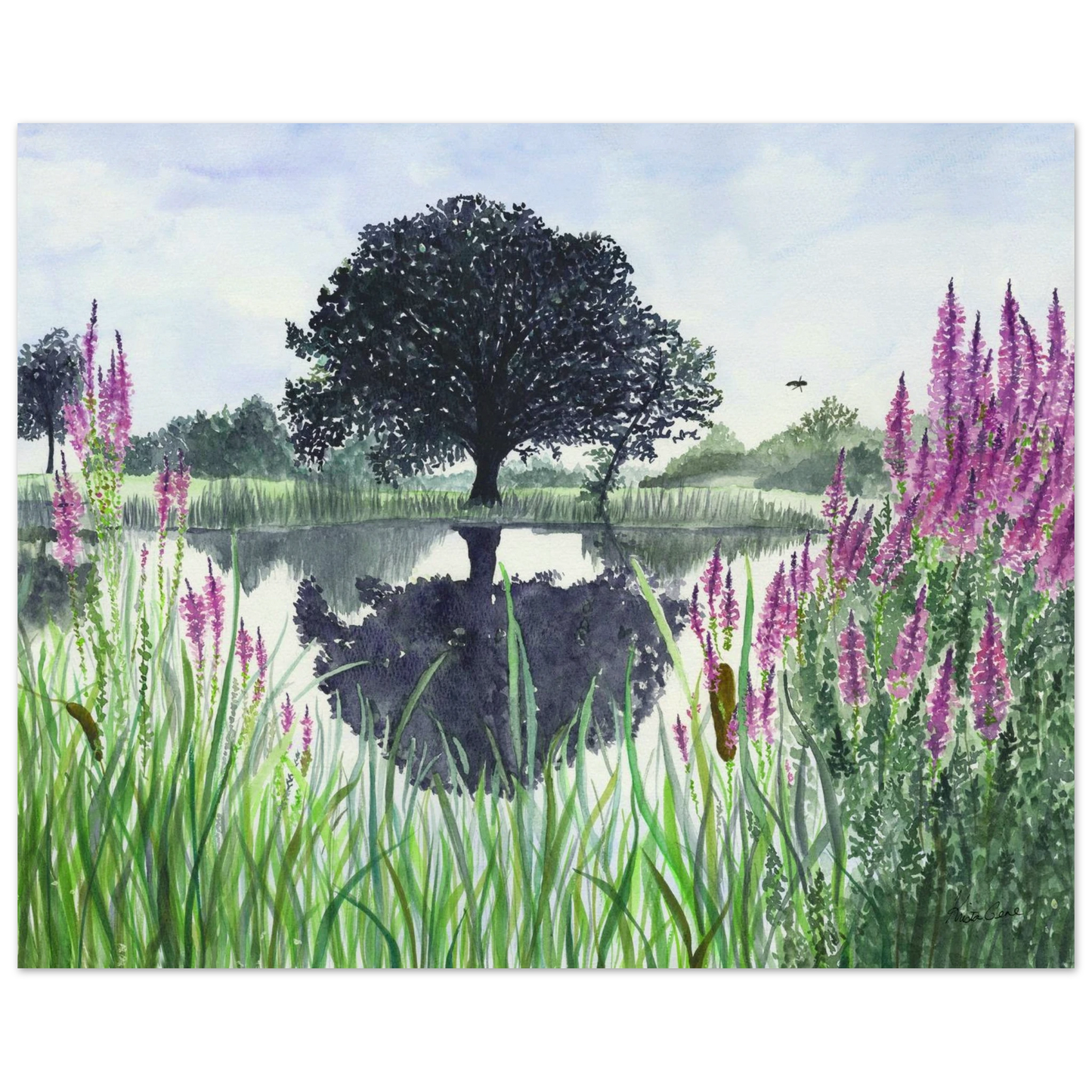 12df1a09-0d56-4874-980c-8c107f593c10