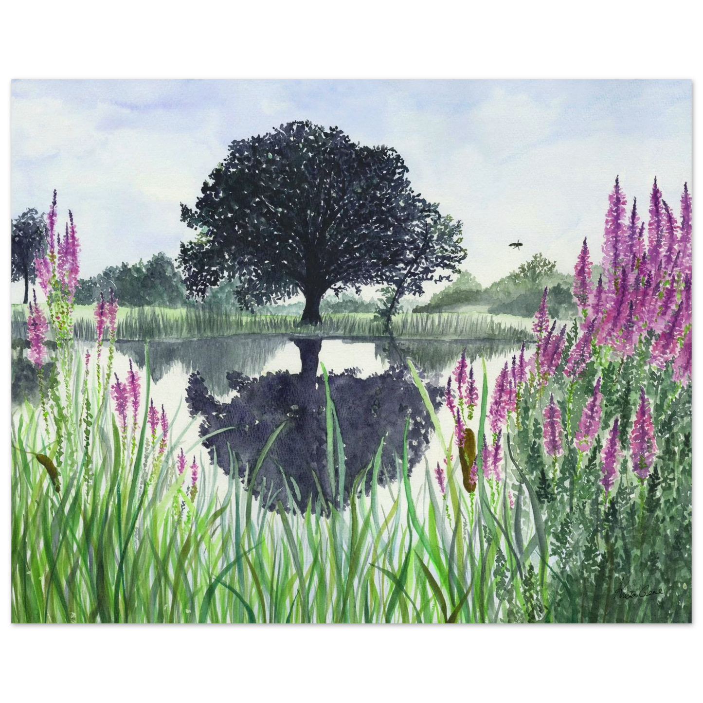 8df8f178-48ec-4a7b-ab22-e0de051ffb63