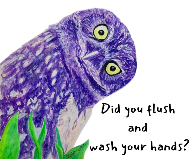 Grumpy Owl (3 Designs) Pop in a Frame and Hang Digital Download Product