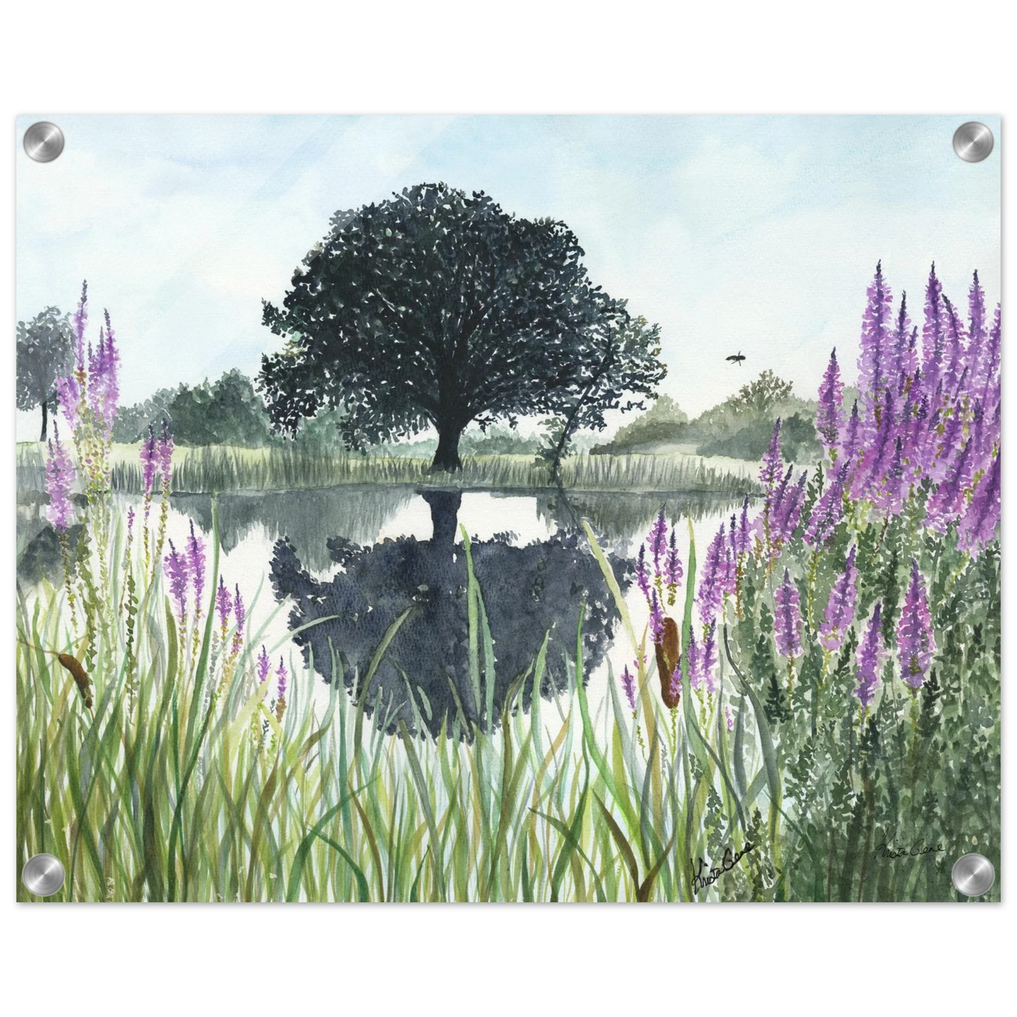 c5ef0cf6-04c4-4895-a221-3a76343e25d8