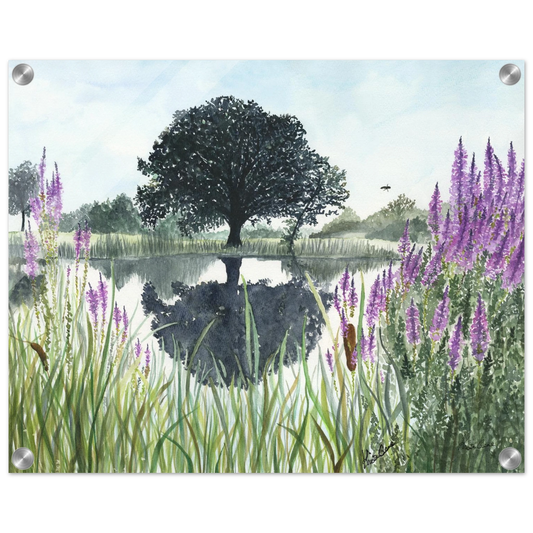 c5ef0cf6-04c4-4895-a221-3a76343e25d8