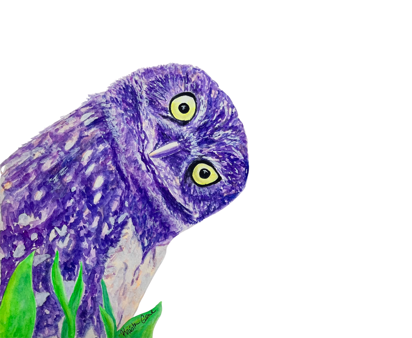 Grumpy Owl (3 Designs) Pop in a Frame and Hang Digital Download Product